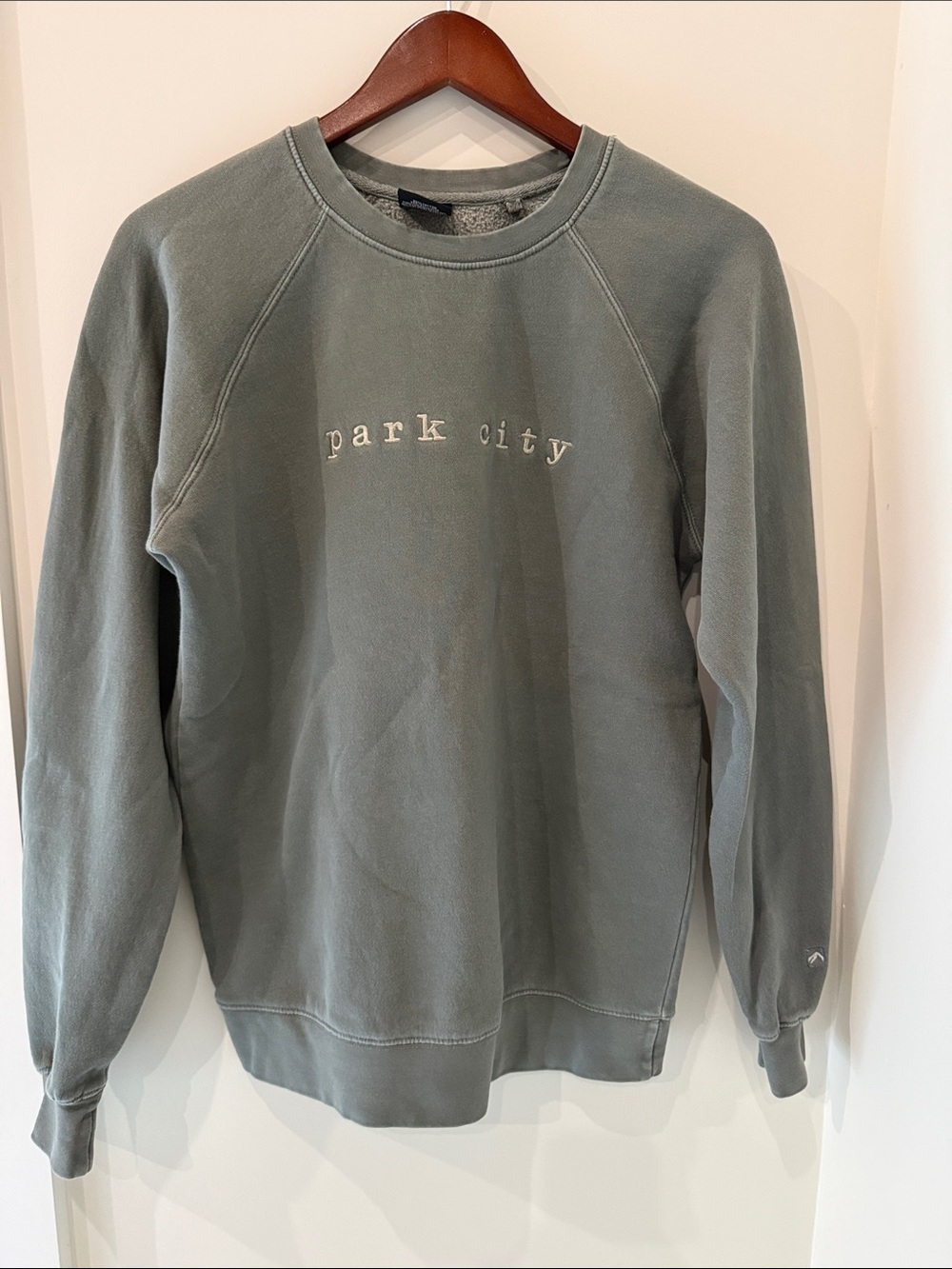 Park City Embroidered Crewneck Sweatshirt - Sage